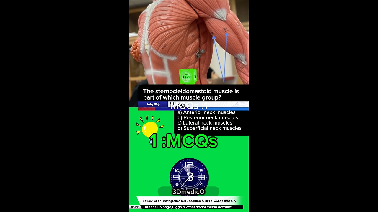 Muscle mcqs #muscle #mcqs #3Dmedico
