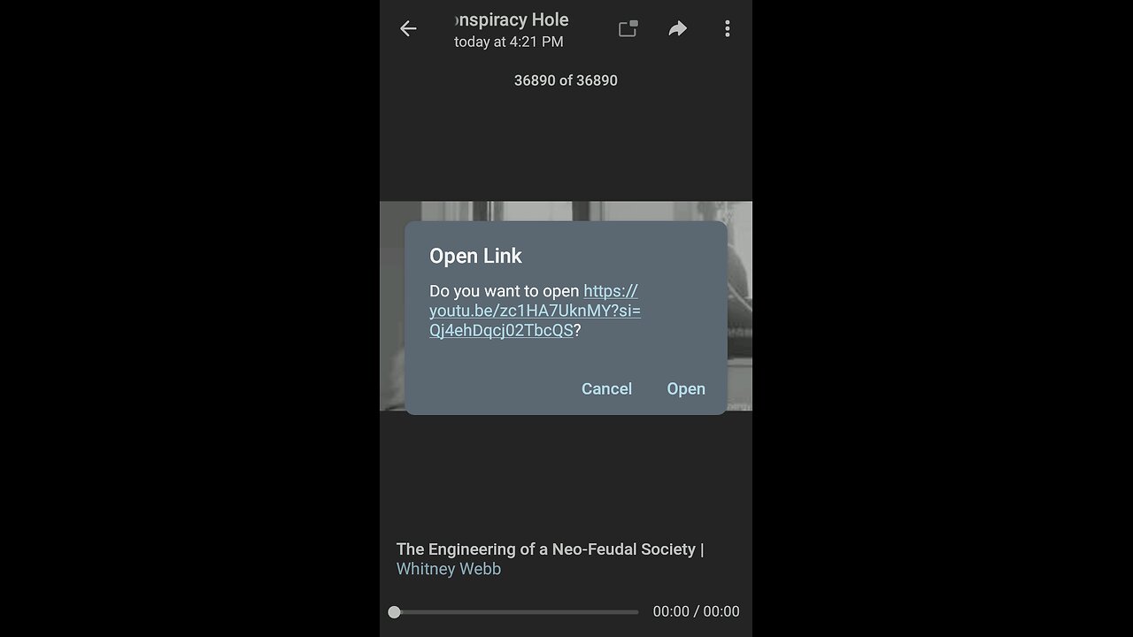 Documentary: Neo-Feudal Society