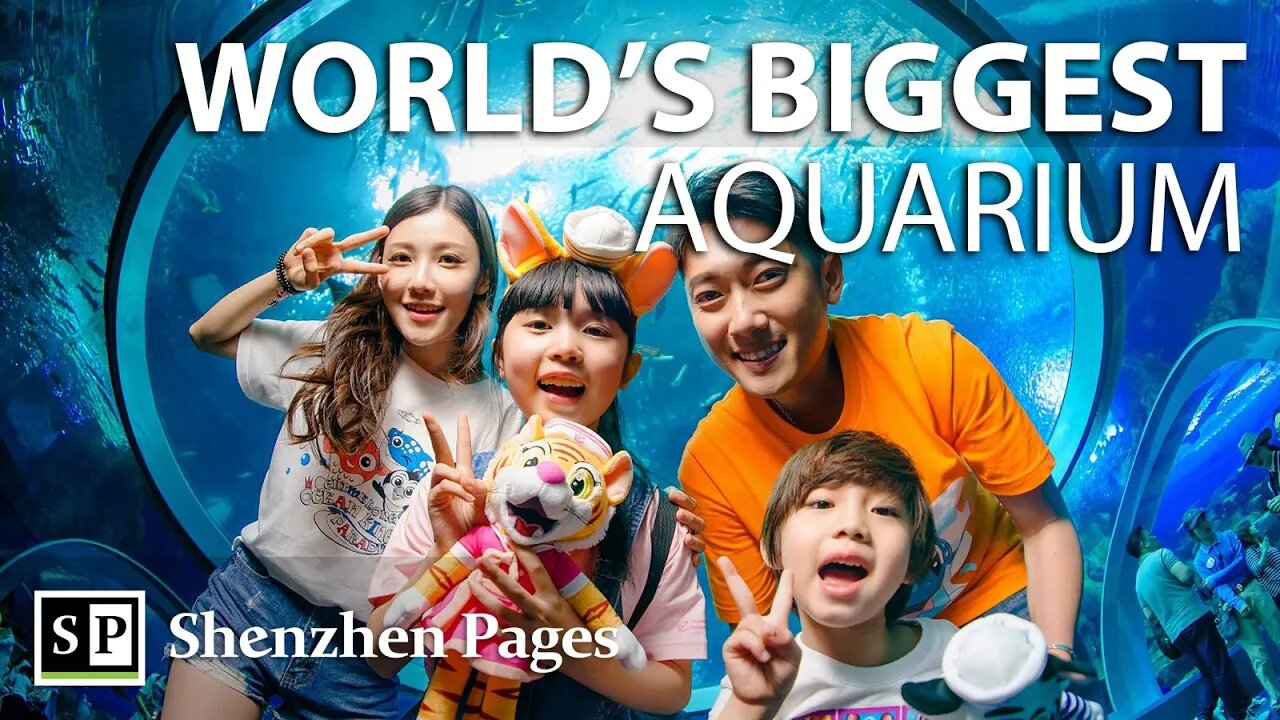 World's BIGGEST aquarium at Chimelong Ocean Kingdom in Zhuhai