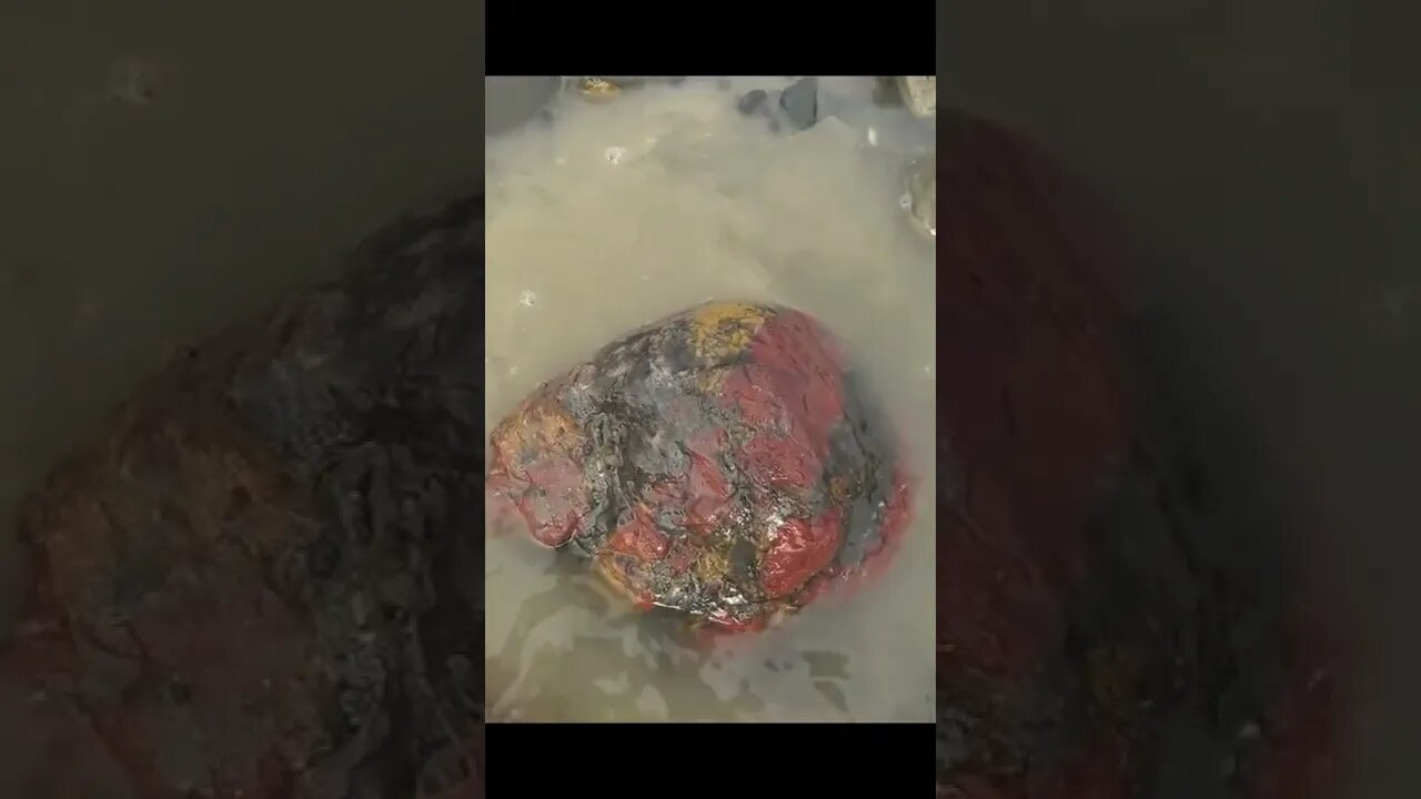 I found a giant 40lbs red and yellow jasper in the river #short #rockhound