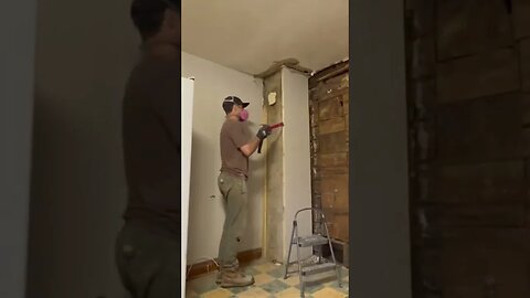 Removing MORE MOLD! #diy #renovation #mold