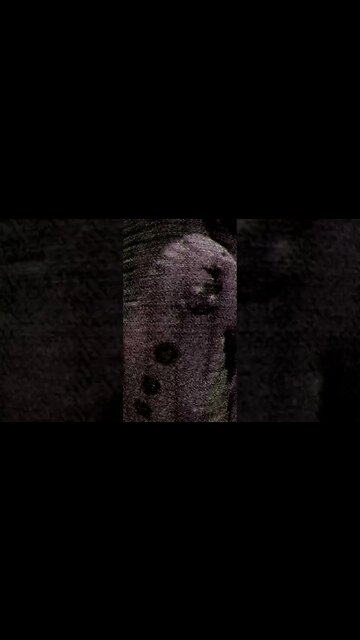 omg! can't believe this! nooooo.. ghost alien shadow people!!? 😱👻👽😭