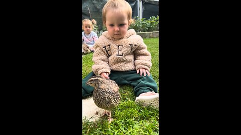 Kid Playing with Bird