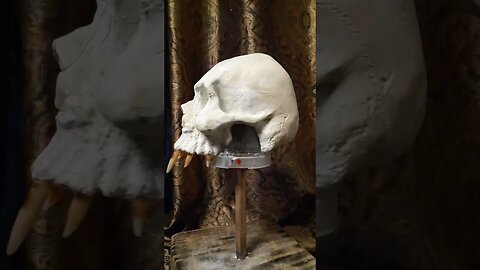 My NOSFERATU skull sculpt just about done! #shorts