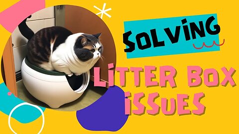 SOLVING LITTER BOX ISSUES IN CATS: COMMON CAUSES AND SOLUTIONS