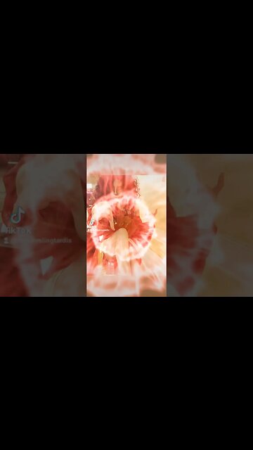 👻 #TARDIS VS #ZUUL #GHOSTBUSTERS #COSPLAY #DOCTORWHO 👻 #THEREISNODANAONLYZUUL #SUBSCRIBE #SHORTS