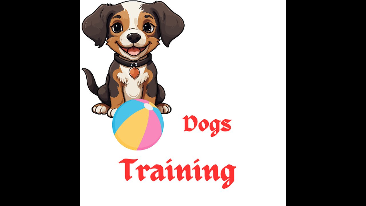 Dogs traning