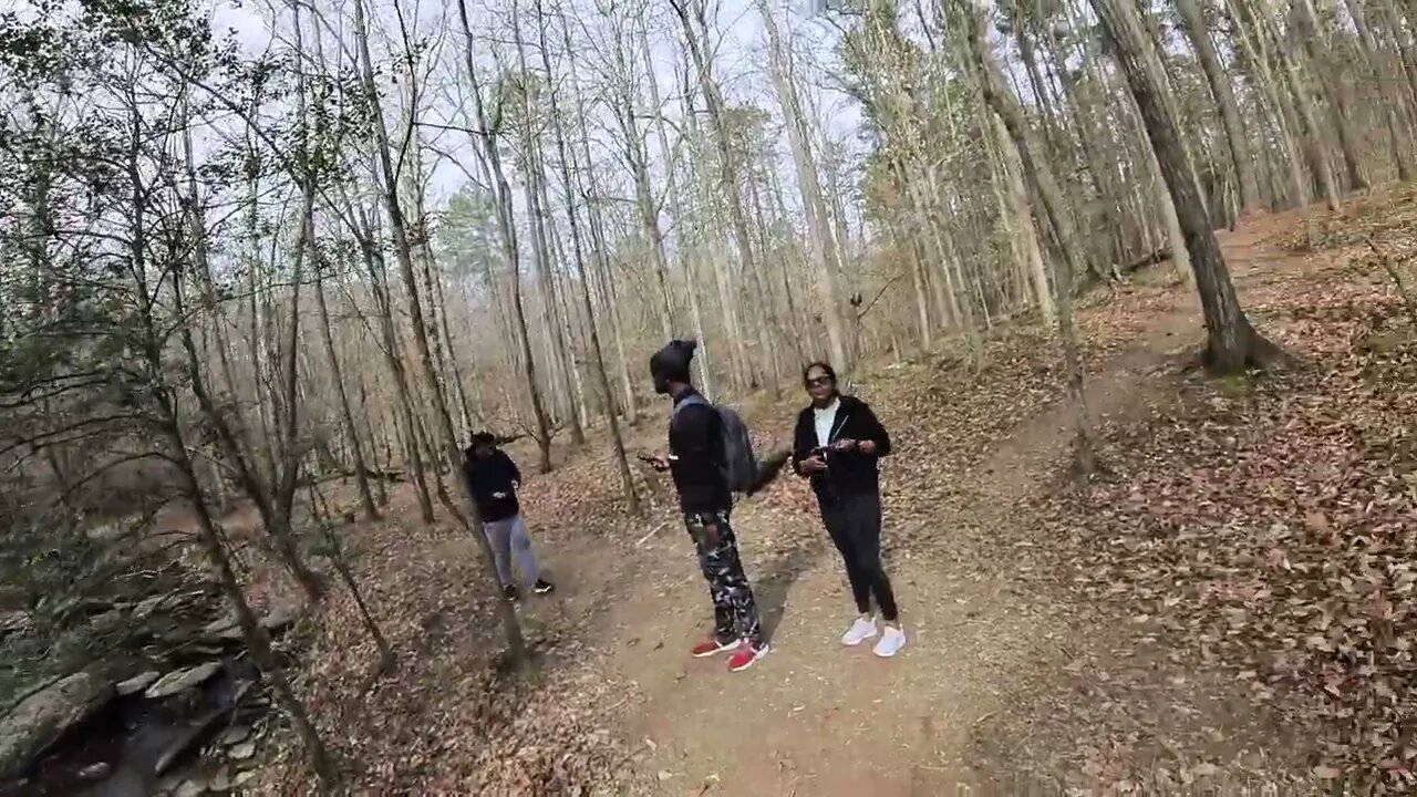 Morning walk
