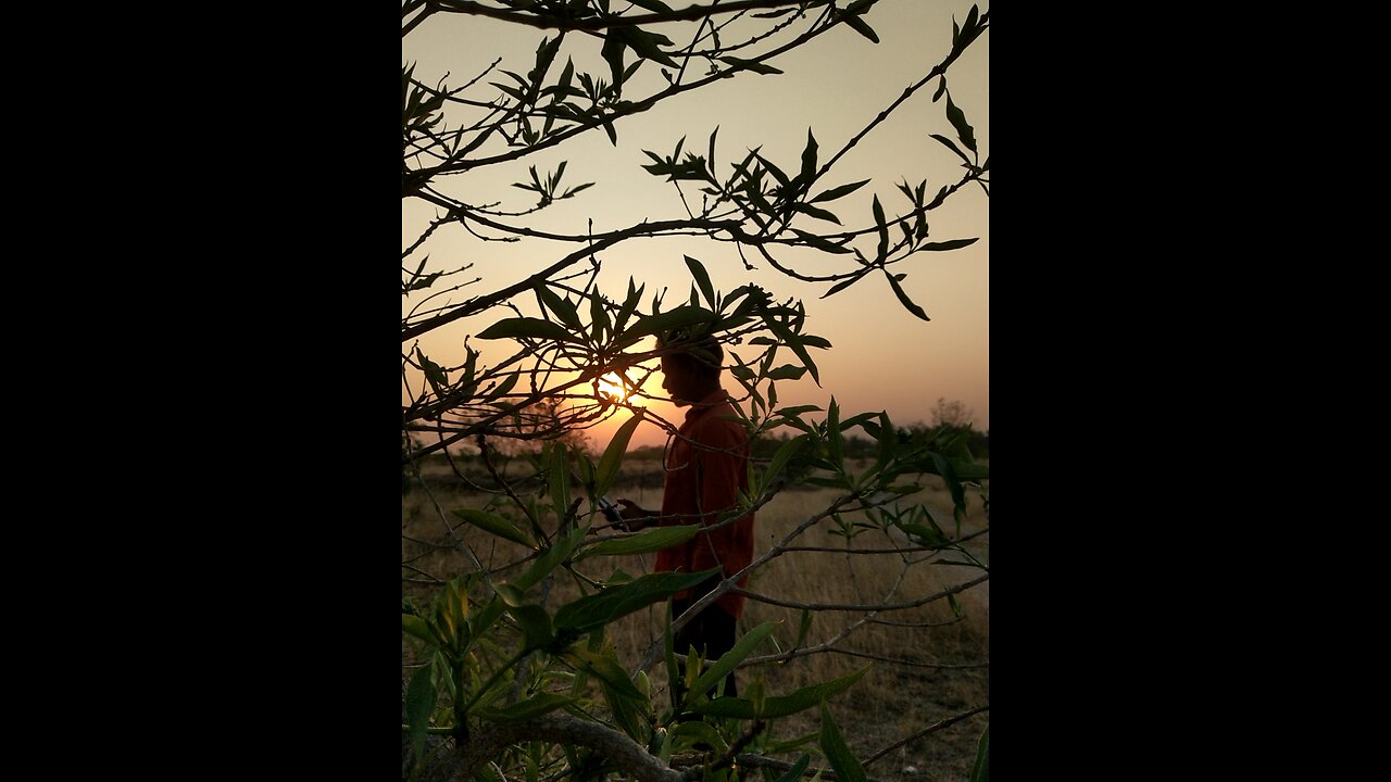 Tamilnadu Forest morning 🌄 sun ☀️rumble #rumbleshorts #tamilnadu