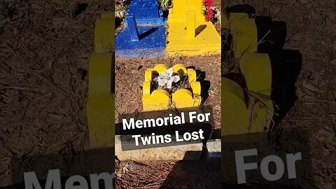 Unique memorial for twins lost in 1971 #twins #grave #taphophile #cemetery #memorial #headstone