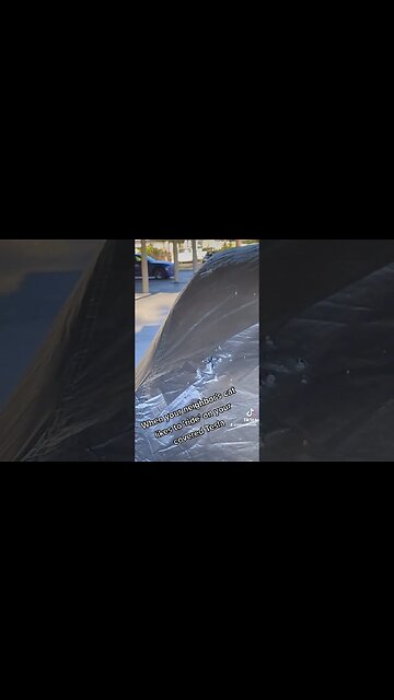 Neighbor's cat vs my Tesla car cover. 😣