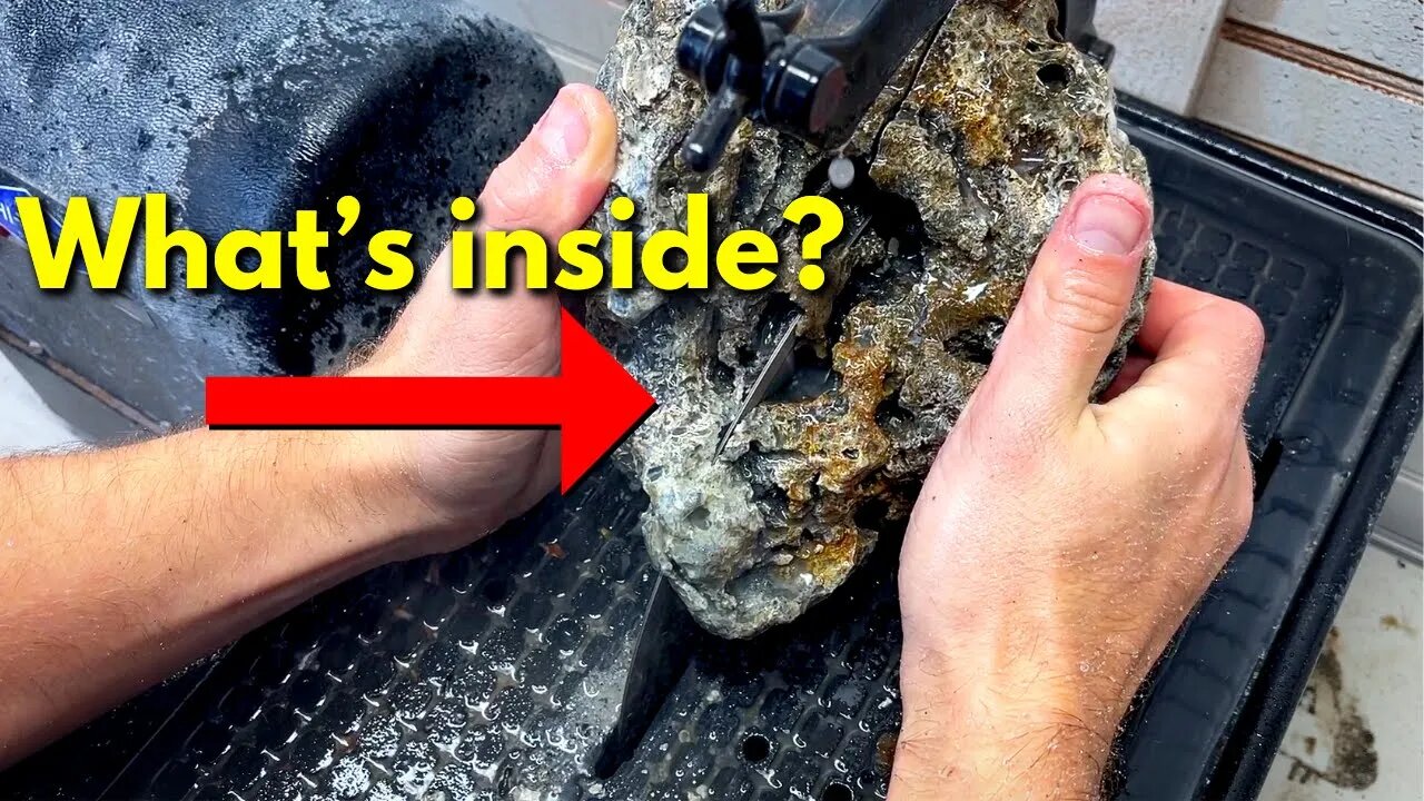 Exposing unseen details inside 30 million year old agatized coral fossils!