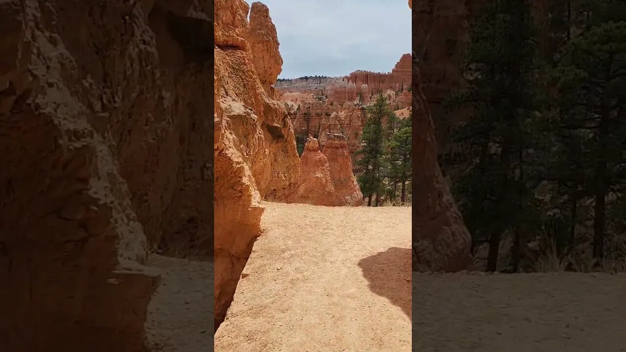 Bryce Canyon NP | Tunnel on the Navajo Loop & Queen's Garden Trail