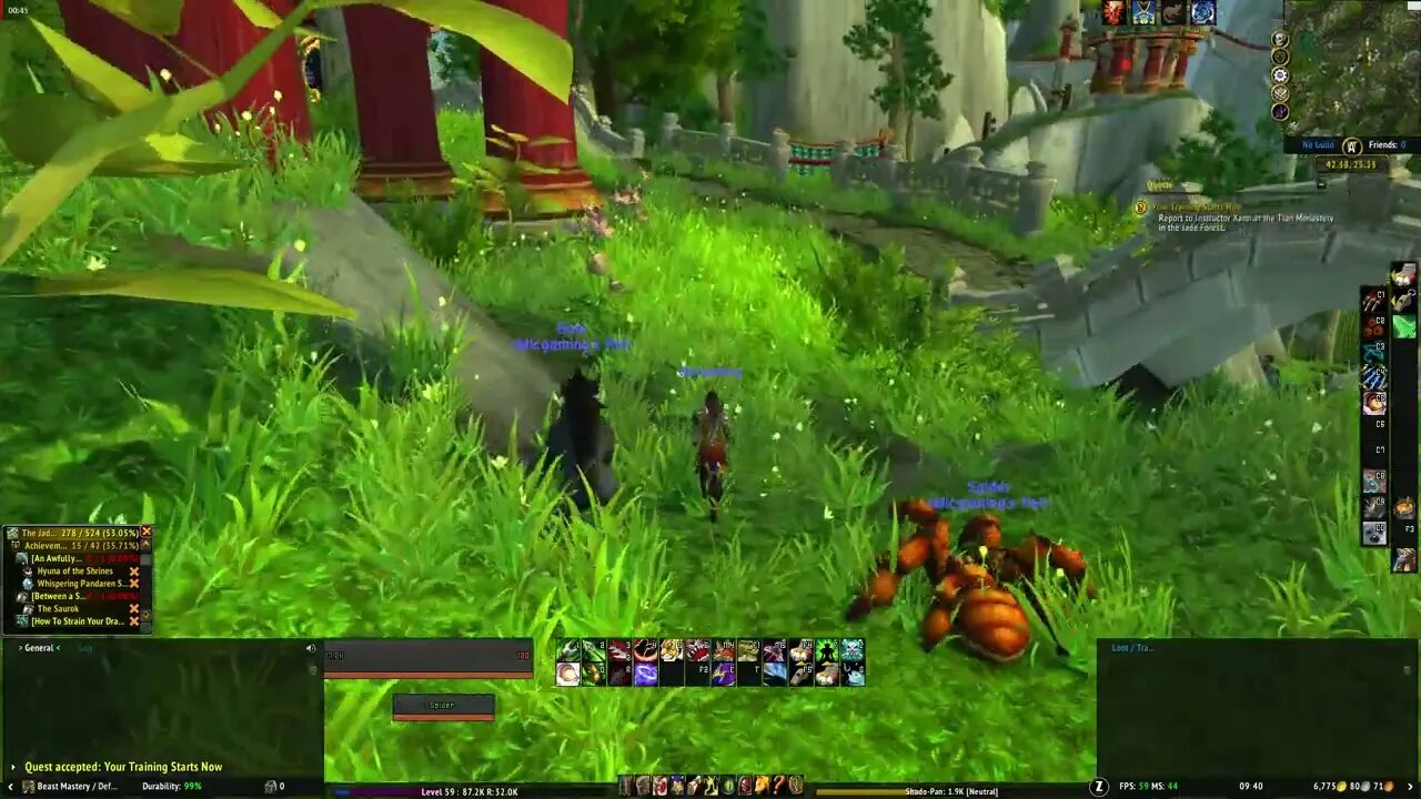 World of Warcraft Mists of Pandaria Your Training Starts Now