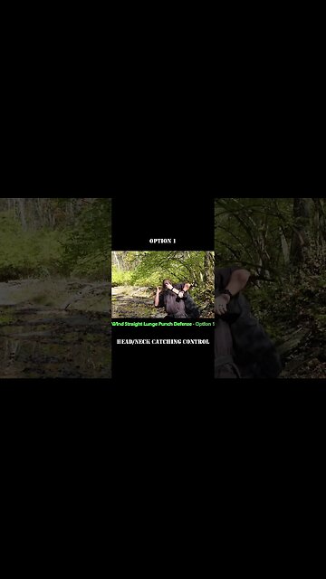 Straight punch defense - Head Catch