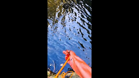 Insane Magnet Fishing Find! Rare Porcelain BT Cable Holder Pulled from the Deep!