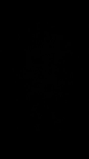 Brooklyn neighborhood