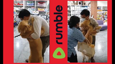 How Dog Reaction when owner meet after Long Time