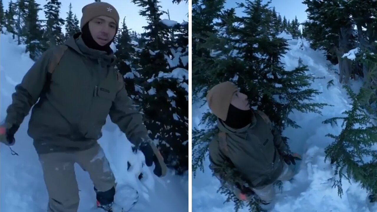 Snowboarder unknowingly stumbles upon bear in tree