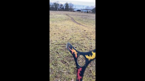 Throwing a Boomerang