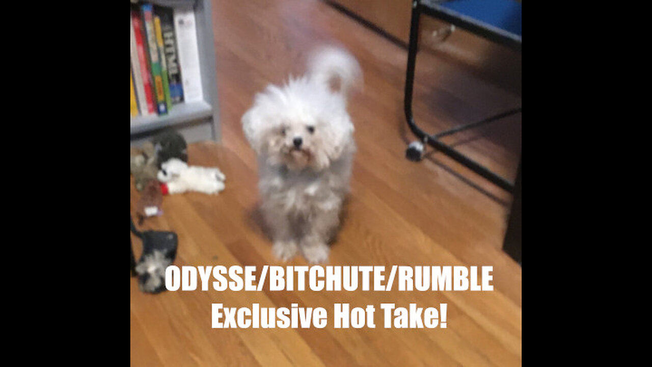 Rumble/Odysee/Bitchute Exclusive Hot Take: May 1st 2024