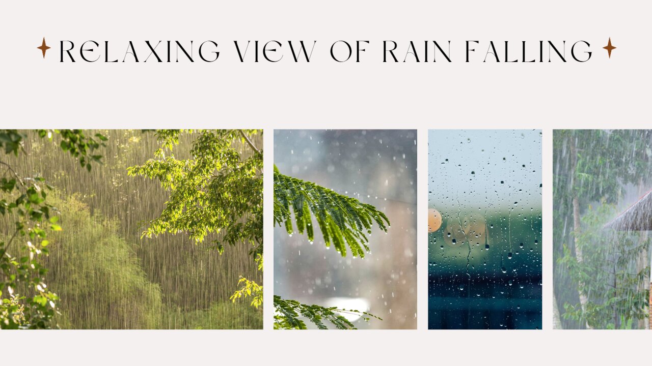 The Soothing Sound of Raindrops: A Relaxing View of Rain Falling on the Road