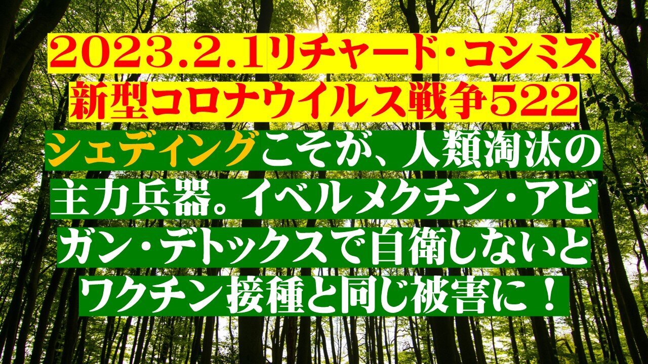 2023.02.01 リチャード・コシミズ新型コロナウイルス戦争５２２