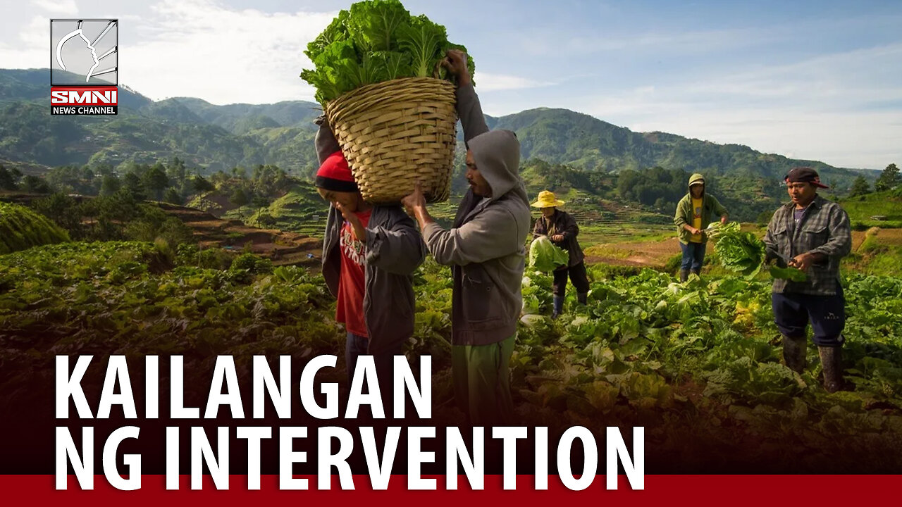 Gobyerno, humahabol sa agri sector ngunit kailangan pa rin ang intervention —PCAFI