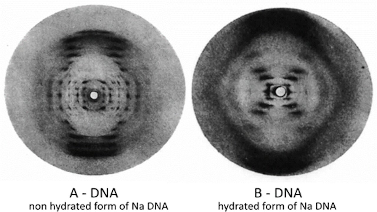 Die DNA – Eine wissenschaftlich-historische Analyse (Teil 1)