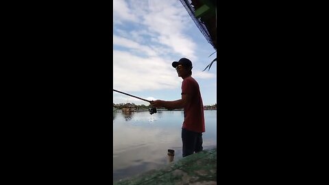 Catch fish jaguar