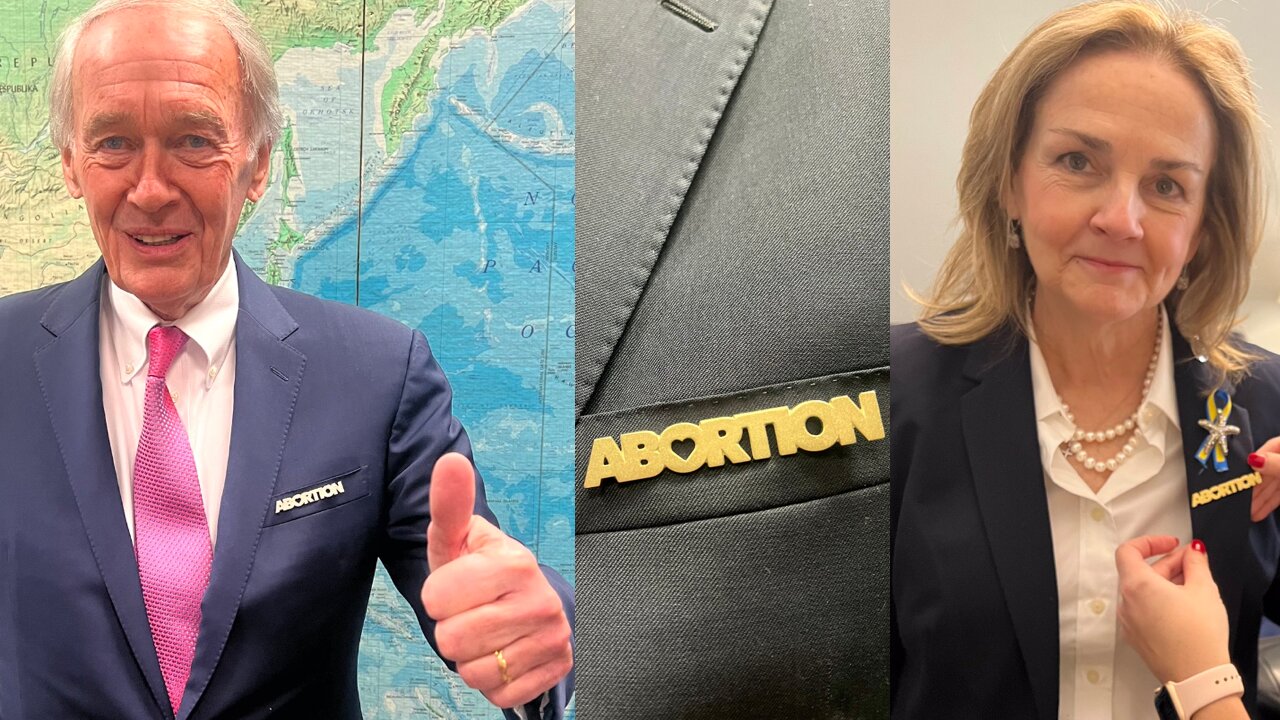 SICK: Democrats don 'ABORTION' pin with heart-shaped cutout