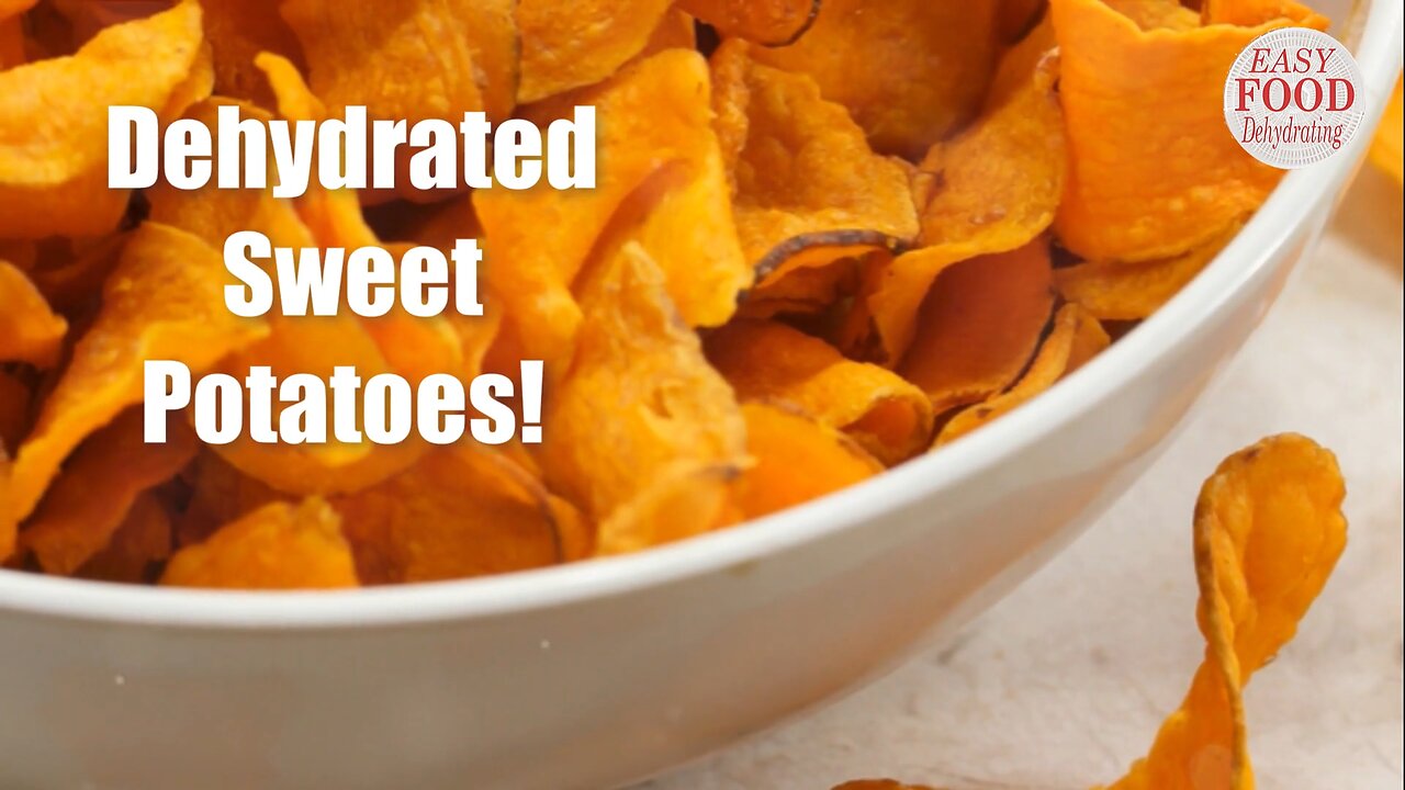 Dehydrated Sweet Potato Treats: Human + Dog Approved