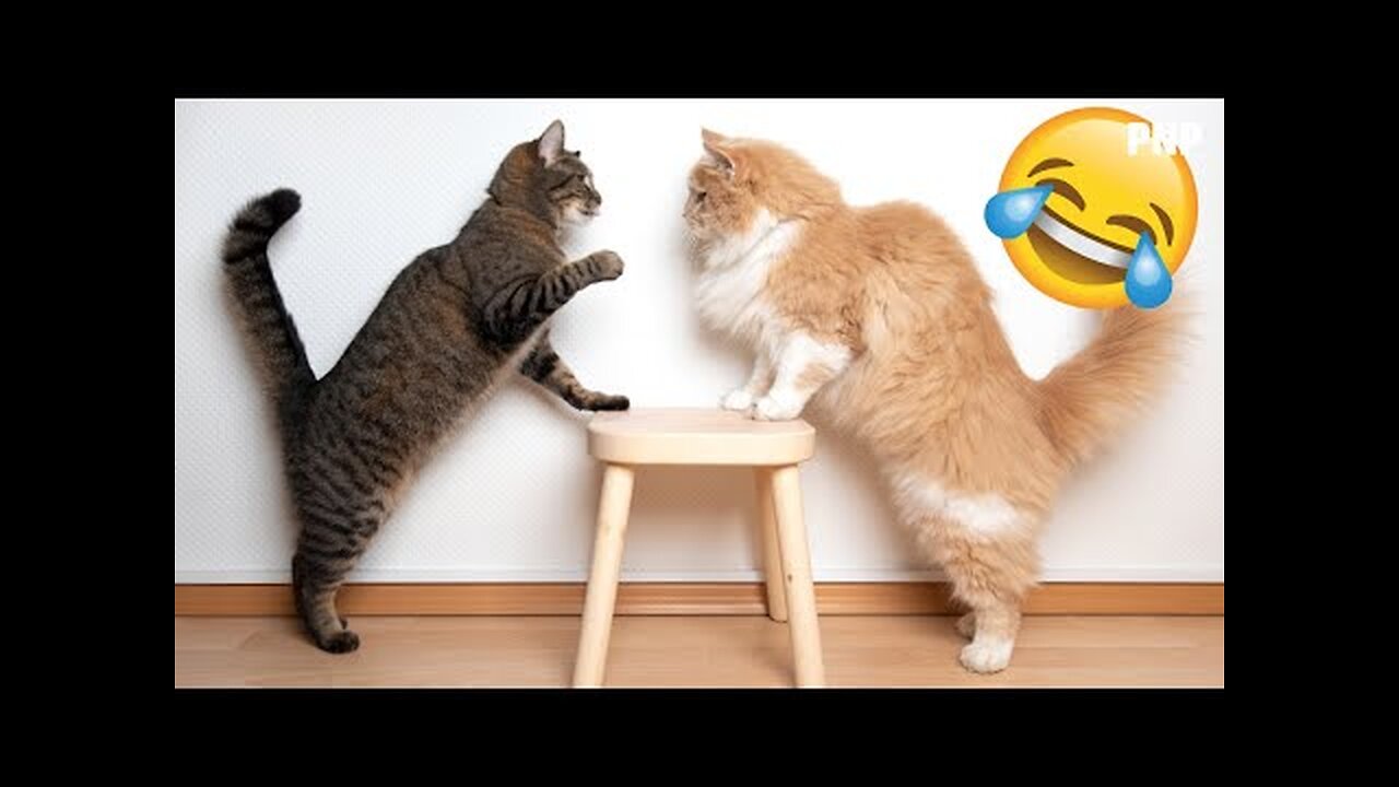 Funniest Animals 😂 2023 😺🐶