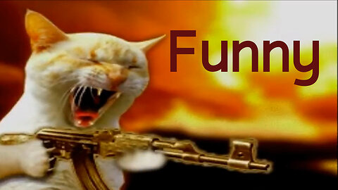 funny pets - cats dogs animals, amazing original song ♫ best free music