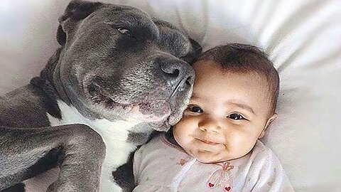 Dogs saving babies - Why We Need Dogs