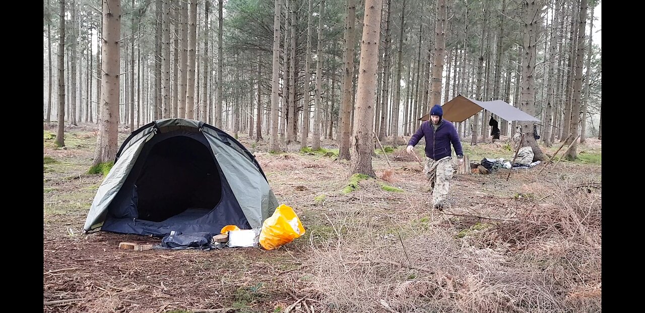 Tidying up to leave no trace . Woodland wildcamping 22nd Jan 2023