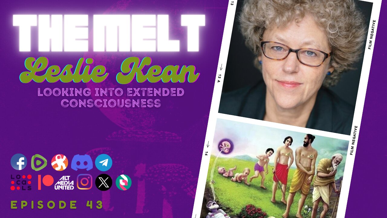 The Melt Episode 43- Leslie Kean | Looking Into Extended Consciousness