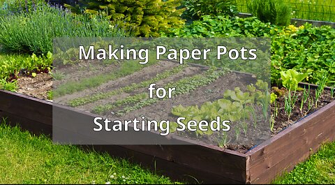 Paper Pots for Seed Starting