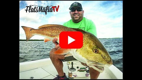 Redfishing in Tampa Bay