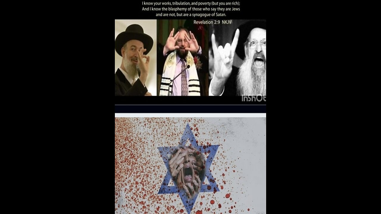 The truth about Zionist Rabbis 🦎and their role during the Holocaust