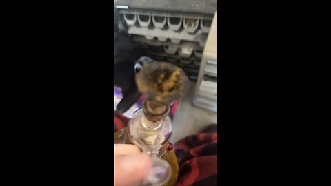 Day 11 I thought it was Friday lol