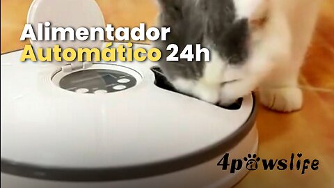 Alimentador Automático 24 Horas