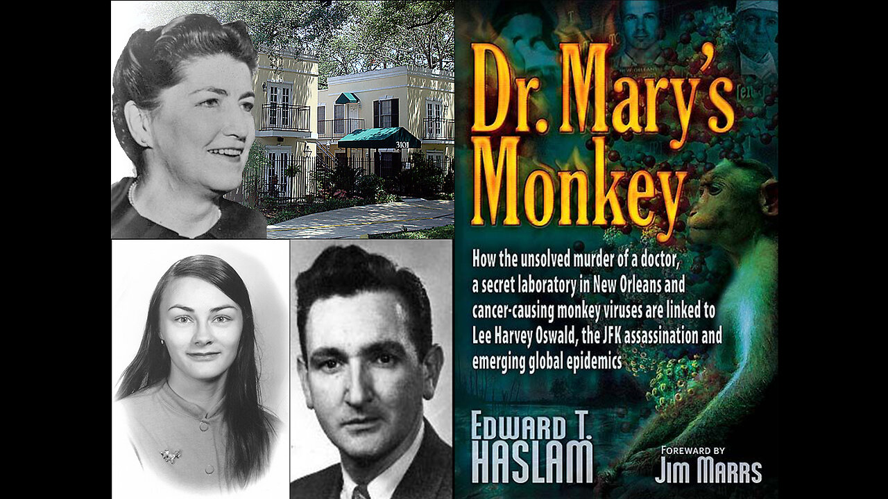 RABBIT HOLE RADIO - DR. MARY'S MONKEY , VACCINES & THE CANCER EPIDEMIC