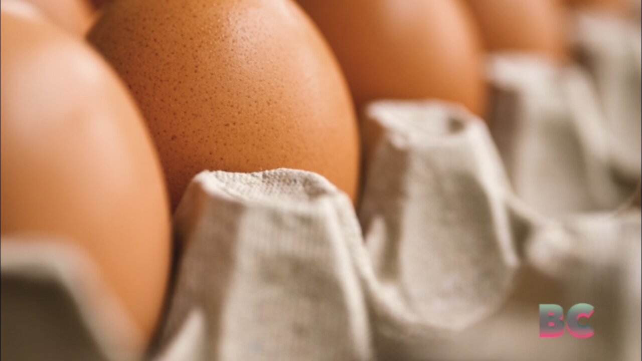 Wholesale egg prices have ‘collapsed.’ Why consumers may soon see relief