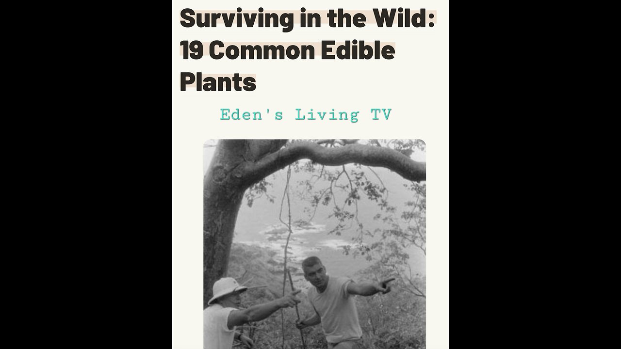 19 Edible Plants in the wild for Survival ~ EDEN'S LIVING TV