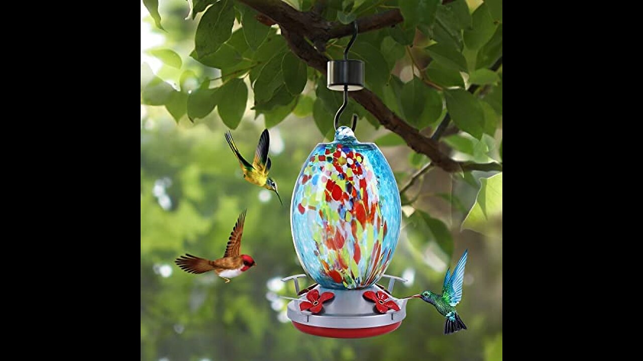 REZIPO Hummingbird Feeder with Perch - Hand Blown Glass - Red - 22 Fluid Ounces Hummingbird Nec...