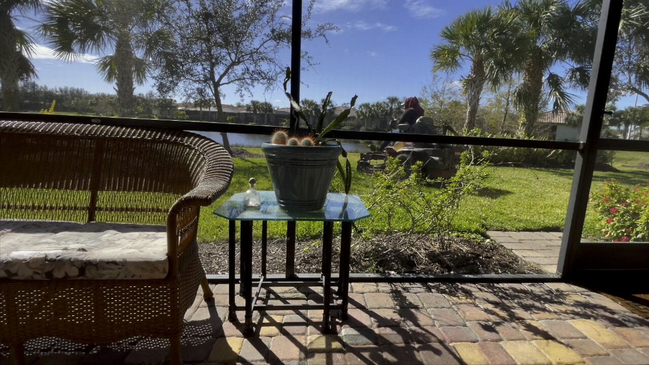 February In Southwest Florida (Widescreen) #FreshCutGrass #mywalksinparadise #4K #DolbyVisionHDR