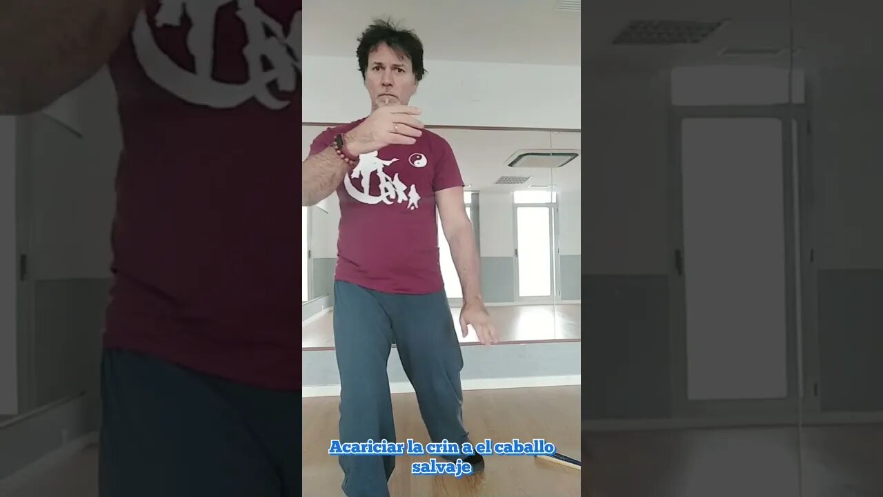 #shorts Primera sección completa, vista frontal de movimientos de brazos.