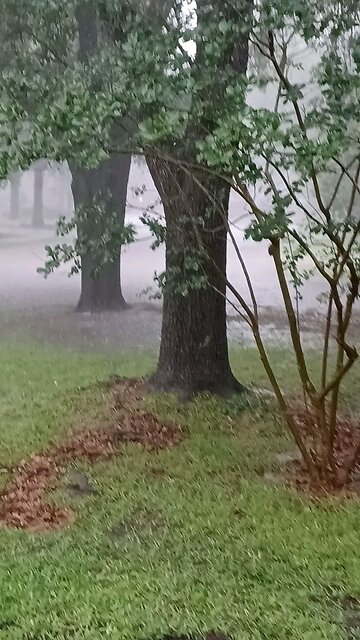 has to be Cloud Seeding.