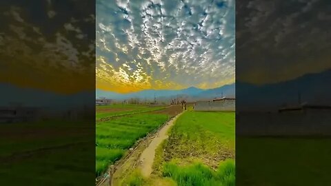 nature music #shorts